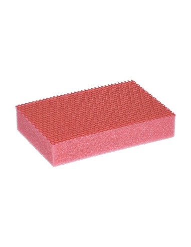 FREGALL ESPONJA EVO VERMELL - PAQUET  4UNT