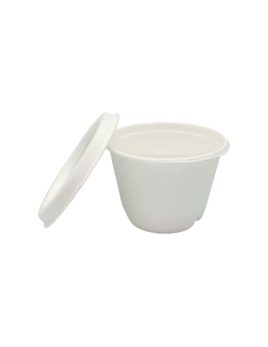 TARRINA + TAPA BAGAZO (SALSAS) 120CC 800U