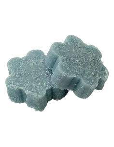 PASTILLAS DESINF. BLOQUES DENZ (PER-ZIM) BOTE 750GR