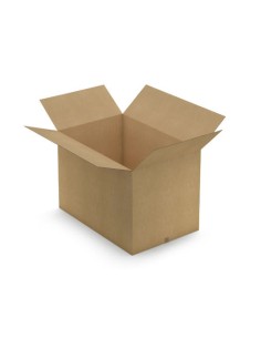 CAJA CARTON 391X171X310 UNIDAD