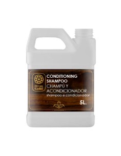 CHAMPU ACONDICIONADOR 5L "DREAM GOLD"CJ.4