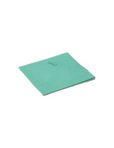 BAIETA MICRICLEAN VILEDA VERD - PAQUET 5UNT
