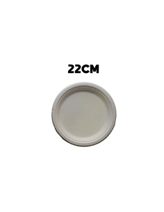 PLATO CHINET 22CM CARTÓN CAJA 500UND