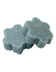 PASTILLES DESINF. BLOQUEZ DENZ (PER-ZIM) ENVÀS 750GR