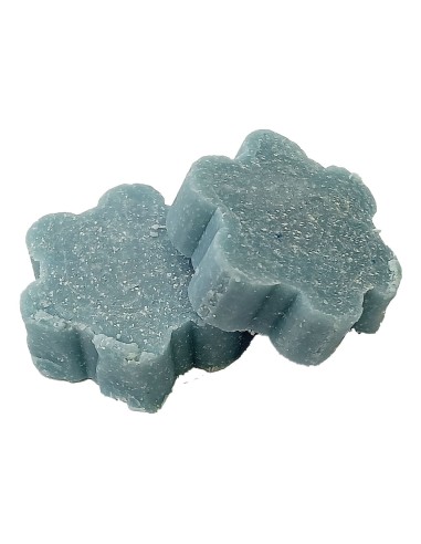PASTILLES DESINF. BLOQUEZ DENZ (PER-ZIM) ENVÀS...